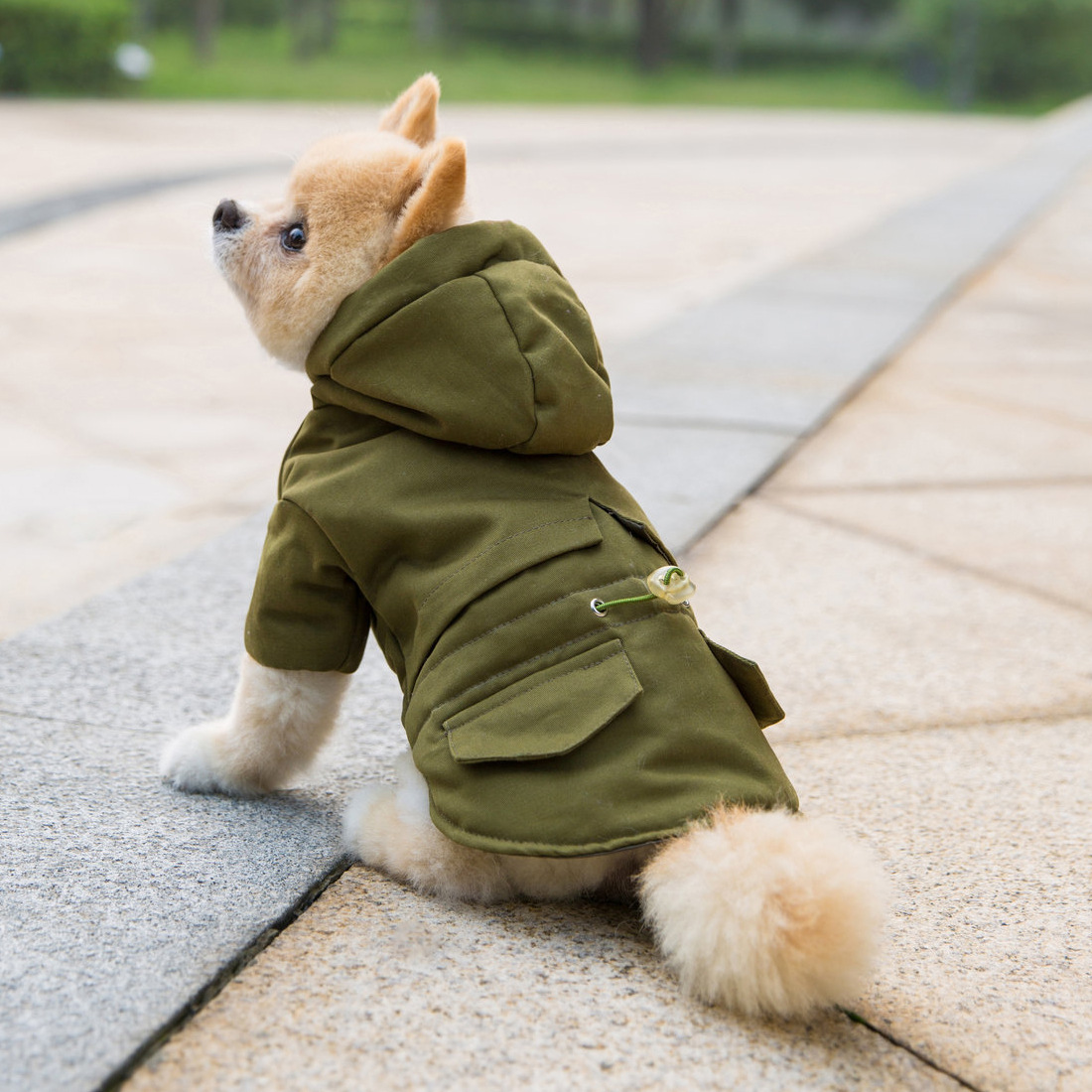 狗狗冬季棉服泰迪寵物衣服小狗棉服比熊博美兩腳加厚狗狗衣服冬裝